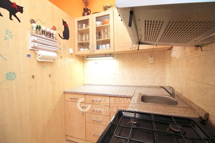 Prodej bytu 2+kk, Praha - Nusle, Sekaninova, 50 m2