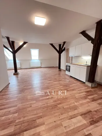 Pronájem bytu 1+kk, Rakovník, Havlíčkova, 58 m2
