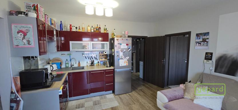 Prodej bytu 3+kk, České Budějovice - České Budějovice 5, Dobrovodská, 54 m2