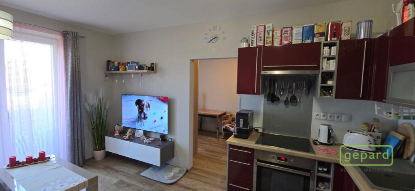 Prodej bytu 3+kk, České Budějovice - České Budějovice 5, Dobrovodská, 54 m2