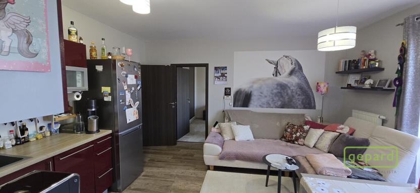 Prodej bytu 3+kk, České Budějovice - České Budějovice 5, Dobrovodská, 54 m2