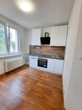 Pronájem bytu 2+1, Karlovy Vary - Stará Role, Fibichova, 63 m2