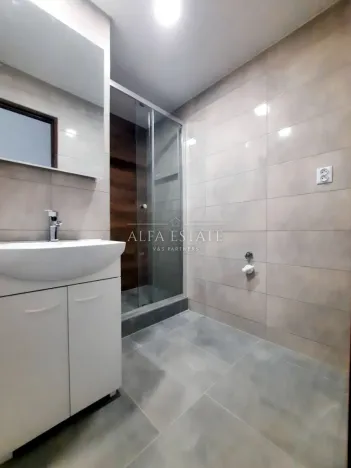 Pronájem bytu 2+1, Karlovy Vary - Stará Role, Fibichova, 63 m2