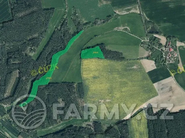 Prodej lesa, Močerady, 47118 m2