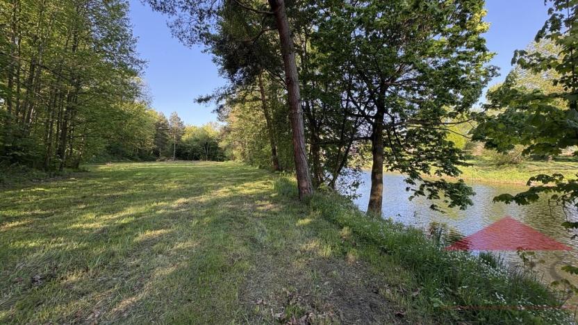 Prodej zahrady, Sušice, 10572 m2