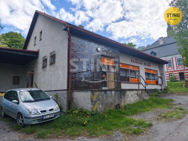Prodej komerční nemovitosti, Vyklantice - Staré Vyklantice, 170 m2