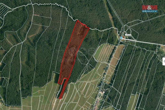 Prodej lesa, Suchdol nad Lužnicí - Klikov, 22334 m2