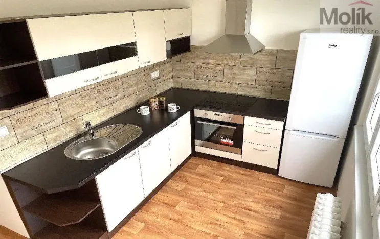 Pronájem bytu 2+1, Bílina - Teplické Předměstí, Sídliště U Nového nádraží, 56 m2