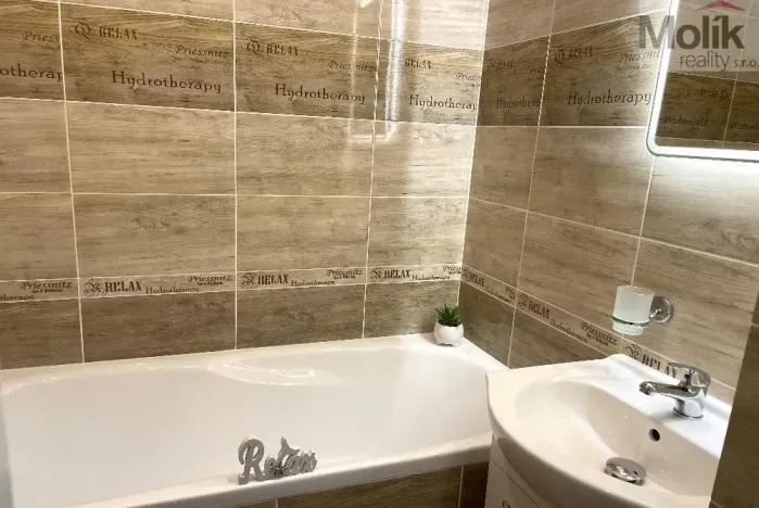 Pronájem bytu 2+1, Bílina - Teplické Předměstí, Sídliště U Nového nádraží, 56 m2