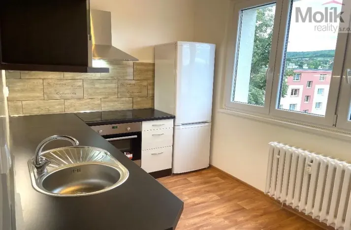 Pronájem bytu 2+1, Bílina - Teplické Předměstí, Sídliště U Nového nádraží, 56 m2