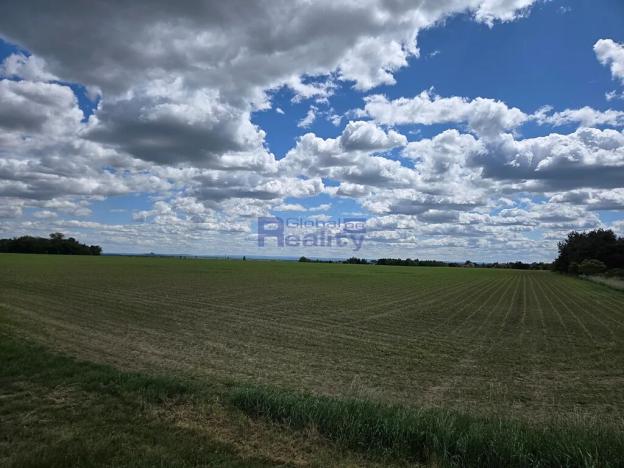 Prodej pozemku, Osice, 12374 m2