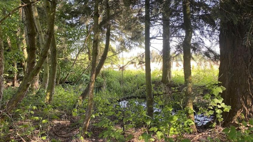 Prodej pozemku pro bydlení, Plzeň, 1929 m2