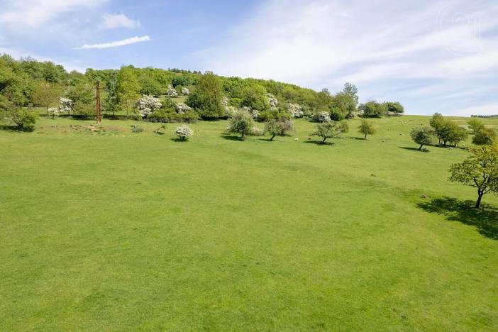 Prodej pozemku, Velká Bukovina, 3186 m2