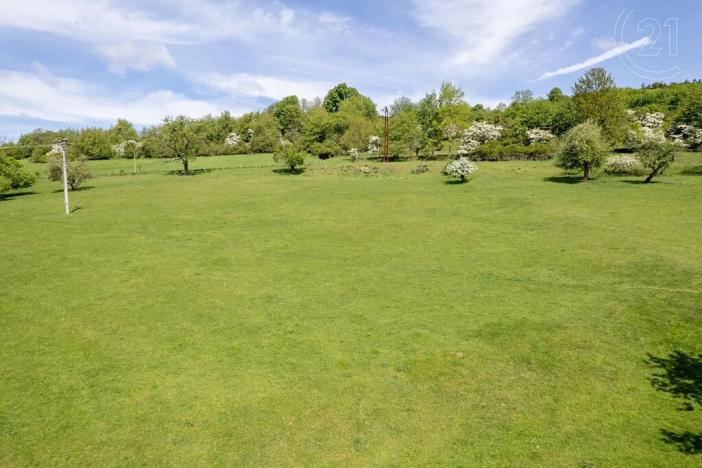 Prodej pozemku, Velká Bukovina, 3186 m2