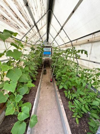 Prodej chaty, Sadov, 15 m2