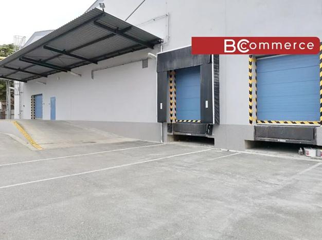 Pronájem skladu, Břeclav, Mládežnická, 3164 m2