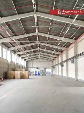 Pronájem skladu, Břeclav, Mládežnická, 3164 m2