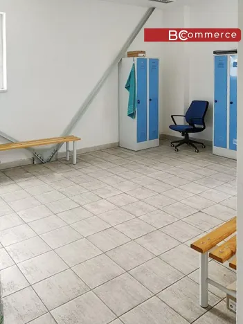 Pronájem skladu, Břeclav, Mládežnická, 1578 m2