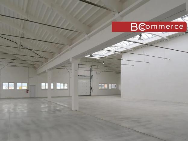 Pronájem skladu, Holubice, 1100 m2