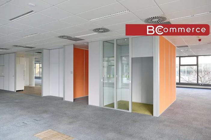 Pronájem kanceláře, Brno, 1000 m2