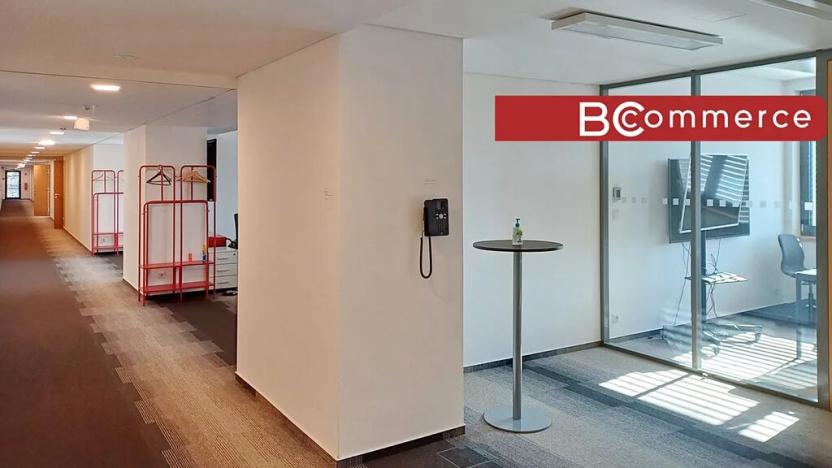 Pronájem kanceláře, Brno, 486 m2