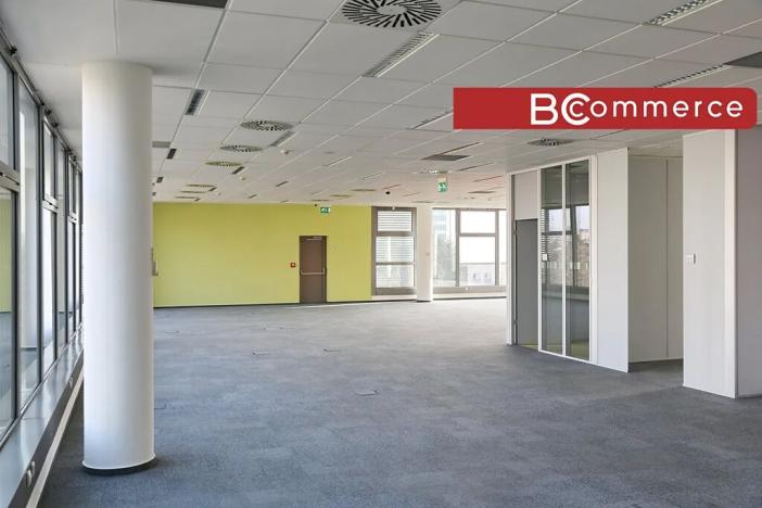 Pronájem kanceláře, Brno, 600 m2