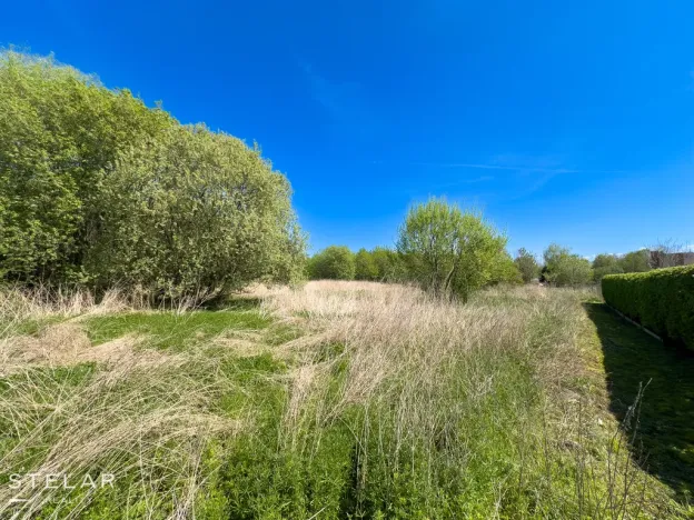 Prodej pozemku pro bydlení, Hladké Životice, Fulnecká, 22000 m2