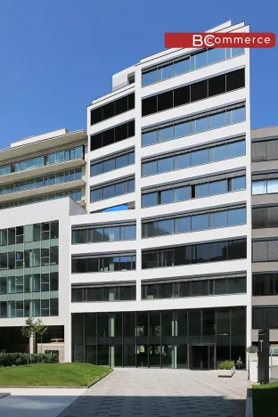 Pronájem kanceláře, Brno, 200 m2