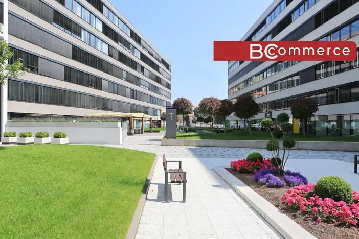 Pronájem kanceláře, Brno, 200 m2