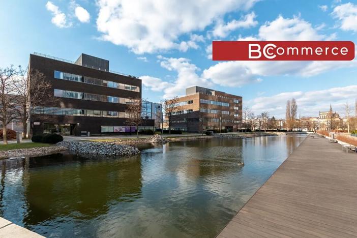 Pronájem kanceláře, Brno, 139 m2