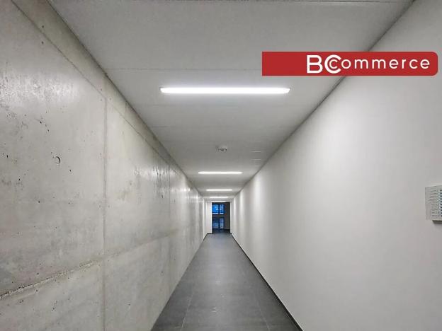 Pronájem kanceláře, Brno, Polní, 350 m2