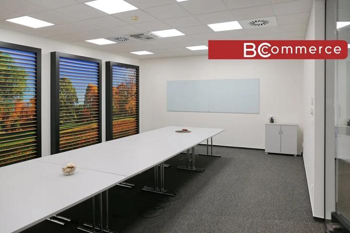 Pronájem kanceláře, Brno, 373 m2