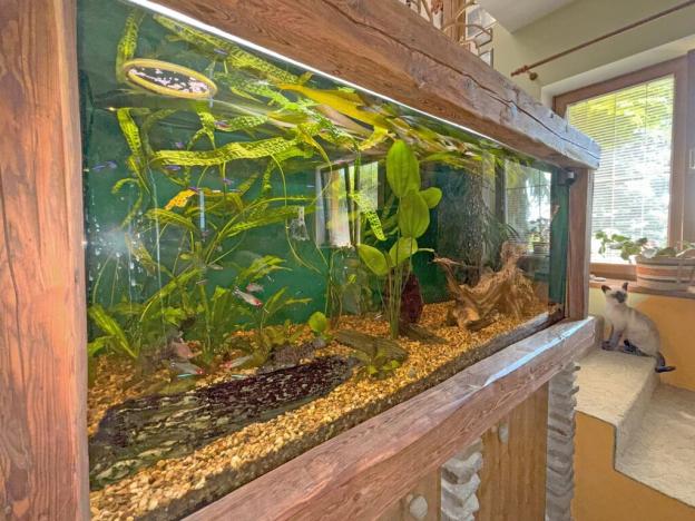 Prodej rodinného domu, Homole, 140 m2