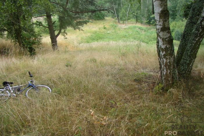 Prodej zahrady, Krušovice, 2000 m2