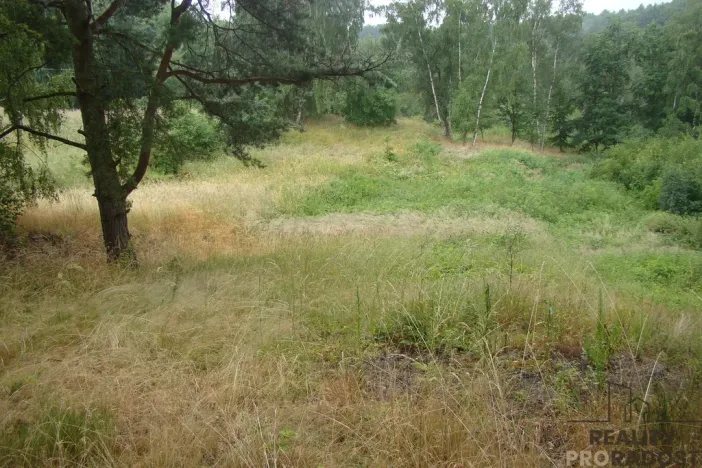 Prodej zahrady, Krušovice, 2700 m2