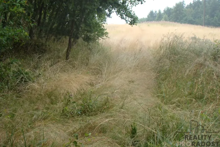 Prodej zahrady, Krušovice, 2700 m2