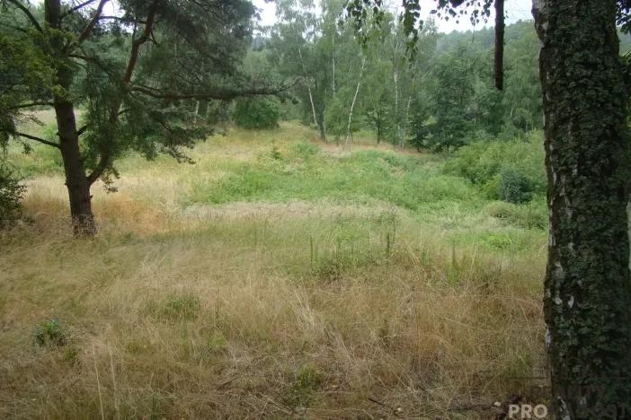Prodej zahrady, Krušovice, 2700 m2