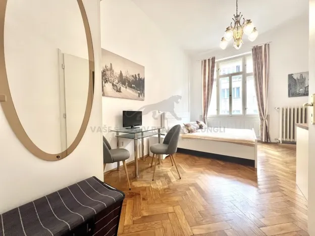Pronájem bytu 1+kk, Praha - Nové Město, Vodičkova, 29 m2