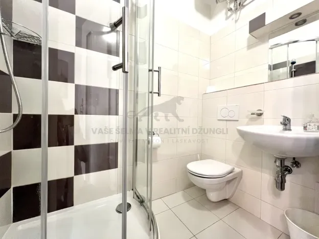 Pronájem bytu 1+kk, Praha - Nové Město, Vodičkova, 29 m2