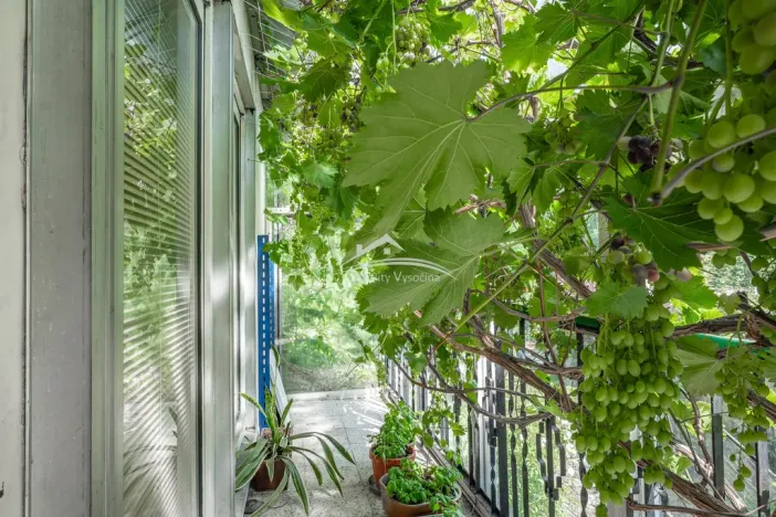 Prodej rodinného domu, Ždírec nad Doubravou, U Potoka, 130 m2