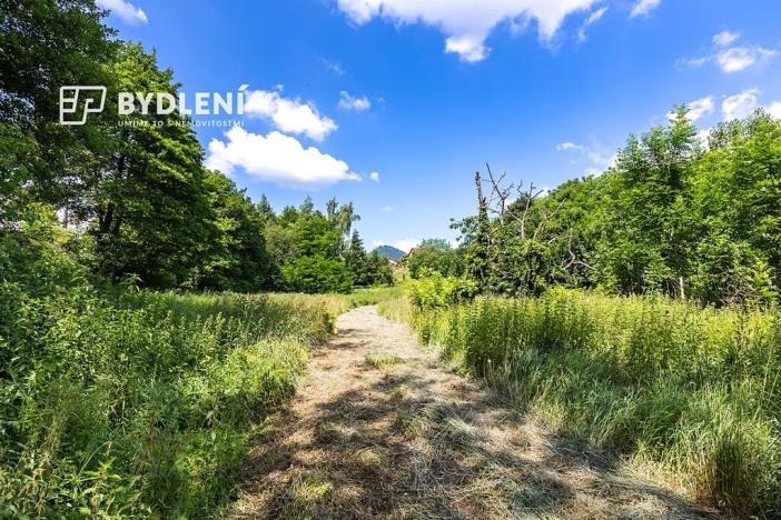 Prodej pozemku pro bydlení, Velemín, 5381 m2