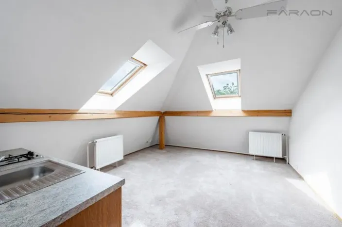 Pronájem vily, Praha - Troja, Na Salabce, 510 m2