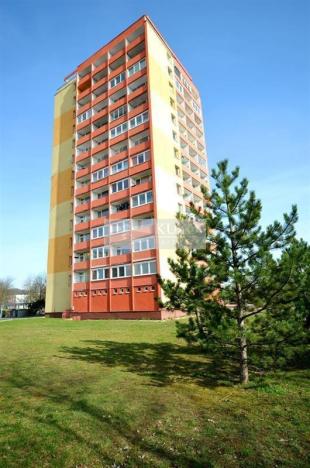 Pronájem bytu 1+kk, Chomutov, Seifertova, 20 m2