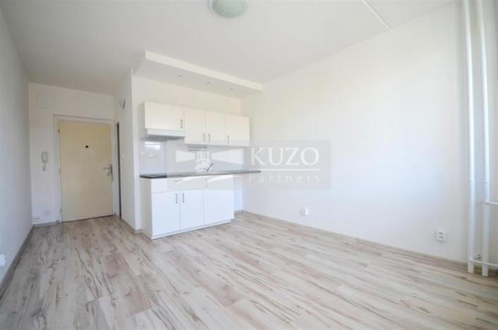 Pronájem bytu 1+kk, Chomutov, Seifertova, 20 m2