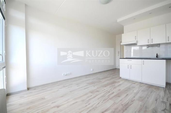 Pronájem bytu 1+kk, Chomutov, Seifertova, 20 m2