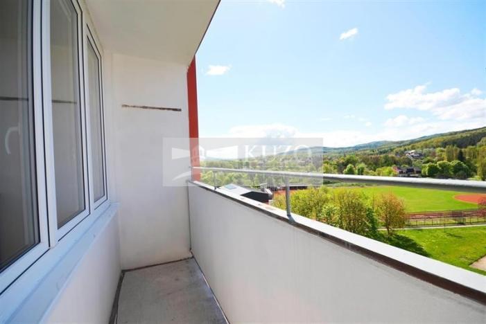 Pronájem bytu 1+kk, Chomutov, Seifertova, 20 m2