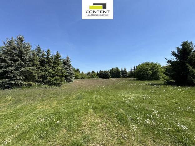 Prodej skladu, Praha - Točná, Branišovská, 26545 m2