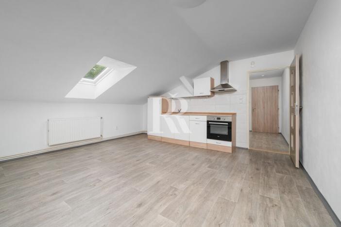 Prodej činžovního domu, Nový Bor, Skalická, 905 m2