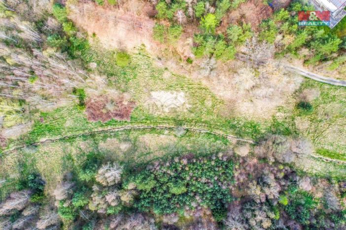 Prodej louky, Františkovy Lázně, 47169 m2