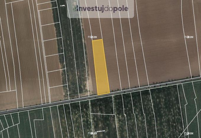 Prodej pole, Jeneč, 4933 m2